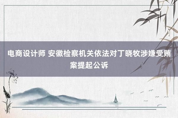 电商设计师 安徽检察机关依法对丁晓牧涉嫌受贿案提起公诉