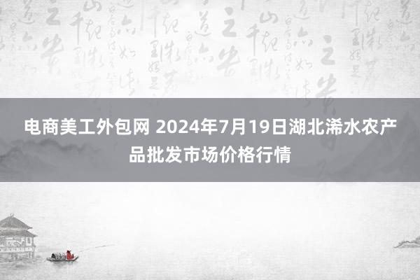 电商美工外包网 2024年7月19日湖北浠水农产品批发市场价格行情